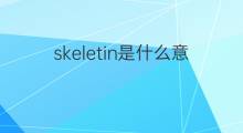 skeletin是什么意思 skeletin的中文翻译、读音、例句