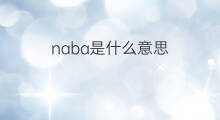 naba是什么意思 naba的中文翻译、读音、例句