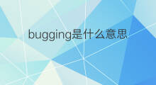 bugging是什么意思 bugging的中文翻译、读音、例句