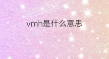 vmh是什么意思 vmh的中文翻译、读音、例句