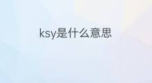 ksy是什么意思 ksy的中文翻译、读音、例句