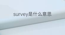 survey是什么意思 survey的中文翻译、读音、例句