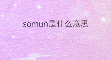 somun是什么意思 somun的中文翻译、读音、例句