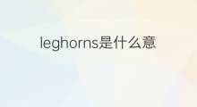 leghorns是什么意思 leghorns的中文翻译、读音、例句