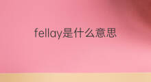 fellay是什么意思 fellay的中文翻译、读音、例句