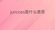 juncoes是什么意思 juncoes的中文翻译、读音、例句