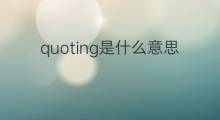 quoting是什么意思 quoting的中文翻译、读音、例句
