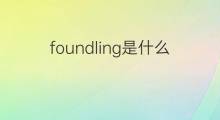 foundling是什么意思 foundling的中文翻译、读音、例句