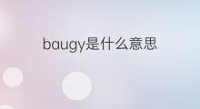 baugy是什么意思 baugy的中文翻译、读音、例句