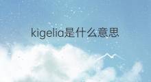 kigelia是什么意思 kigelia的中文翻译、读音、例句