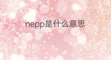 nepp是什么意思 nepp的中文翻译、读音、例句