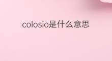 colosio是什么意思 colosio的中文翻译、读音、例句