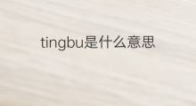 tingbu是什么意思 tingbu的中文翻译、读音、例句