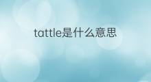 tattle是什么意思 tattle的中文翻译、读音、例句