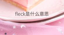 fleck是什么意思 fleck的中文翻译、读音、例句