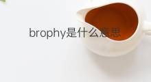 brophy是什么意思 brophy的中文翻译、读音、例句