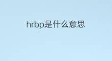 hrbp是什么意思 hrbp的中文翻译、读音、例句
