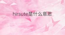 hirsute是什么意思 hirsute的中文翻译、读音、例句