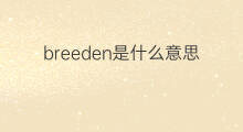 breeden是什么意思 英文名breeden的翻译、发音、来源