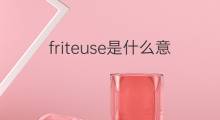 friteuse是什么意思 friteuse的中文翻译、读音、例句