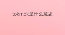 tokmok是什么意思 tokmok的中文翻译、读音、例句