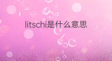 litschi是什么意思 litschi的中文翻译、读音、例句