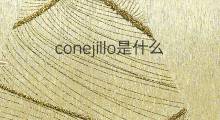 conejillo是什么意思 conejillo的中文翻译、读音、例句