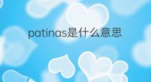 patinas是什么意思 patinas的中文翻译、读音、例句