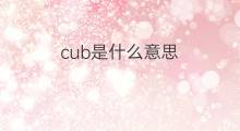 cub是什么意思 cub的中文翻译、读音、例句