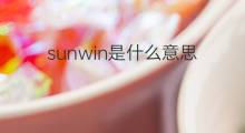 sunwin是什么意思 sunwin的中文翻译、读音、例句