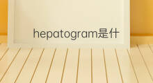 hepatogram是什么意思 hepatogram的中文翻译、读音、例句