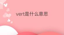 vert是什么意思 vert的中文翻译、读音、例句