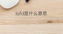 lafd是什么意思 lafd的中文翻译、读音、例句