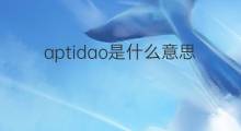 aptidao是什么意思 aptidao的中文翻译、读音、例句