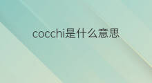 cocchi是什么意思 cocchi的中文翻译、读音、例句