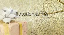 flotation是什么意思 flotation的中文翻译、读音、例句