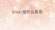 knarr是什么意思 knarr的中文翻译、读音、例句