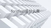 forefeel是什么意思 forefeel的中文翻译、读音、例句