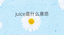 juice是什么意思 juice的中文翻译、读音、例句