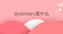 dysentery是什么意思 dysentery的中文翻译、读音、例句