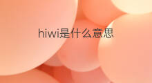 hiwi是什么意思 hiwi的中文翻译、读音、例句