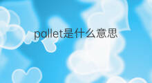 pallet是什么意思 pallet的中文翻译、读音、例句