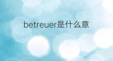 betreuer是什么意思 betreuer的中文翻译、读音、例句