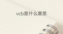 vcb是什么意思 vcb的中文翻译、读音、例句