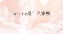 seamy是什么意思 seamy的中文翻译、读音、例句