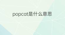 popcat是什么意思 popcat的中文翻译、读音、例句