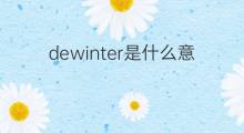 dewinter是什么意思 dewinter的中文翻译、读音、例句