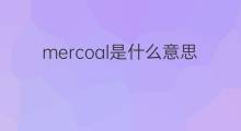 mercoal是什么意思 mercoal的中文翻译、读音、例句