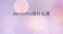 dentinho是什么意思 dentinho的中文翻译、读音、例句