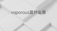 vaporous是什么意思 vaporous的中文翻译、读音、例句